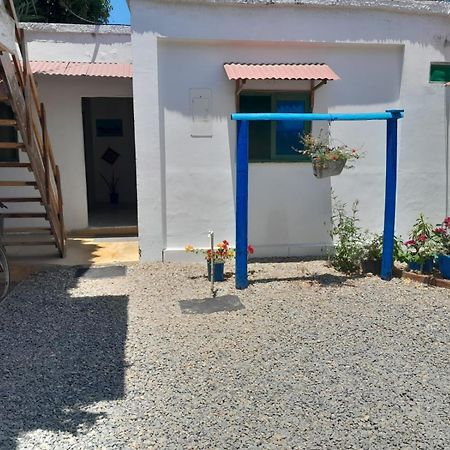 Hostal Paloma Cafe パロミノ エクステリア 写真