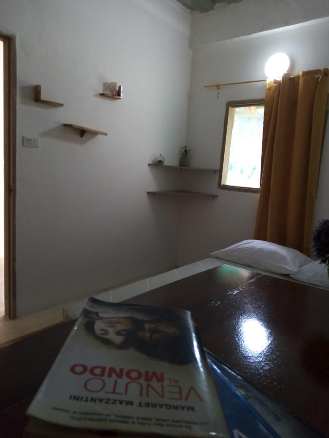 Hostal Paloma Cafe パロミノ エクステリア 写真