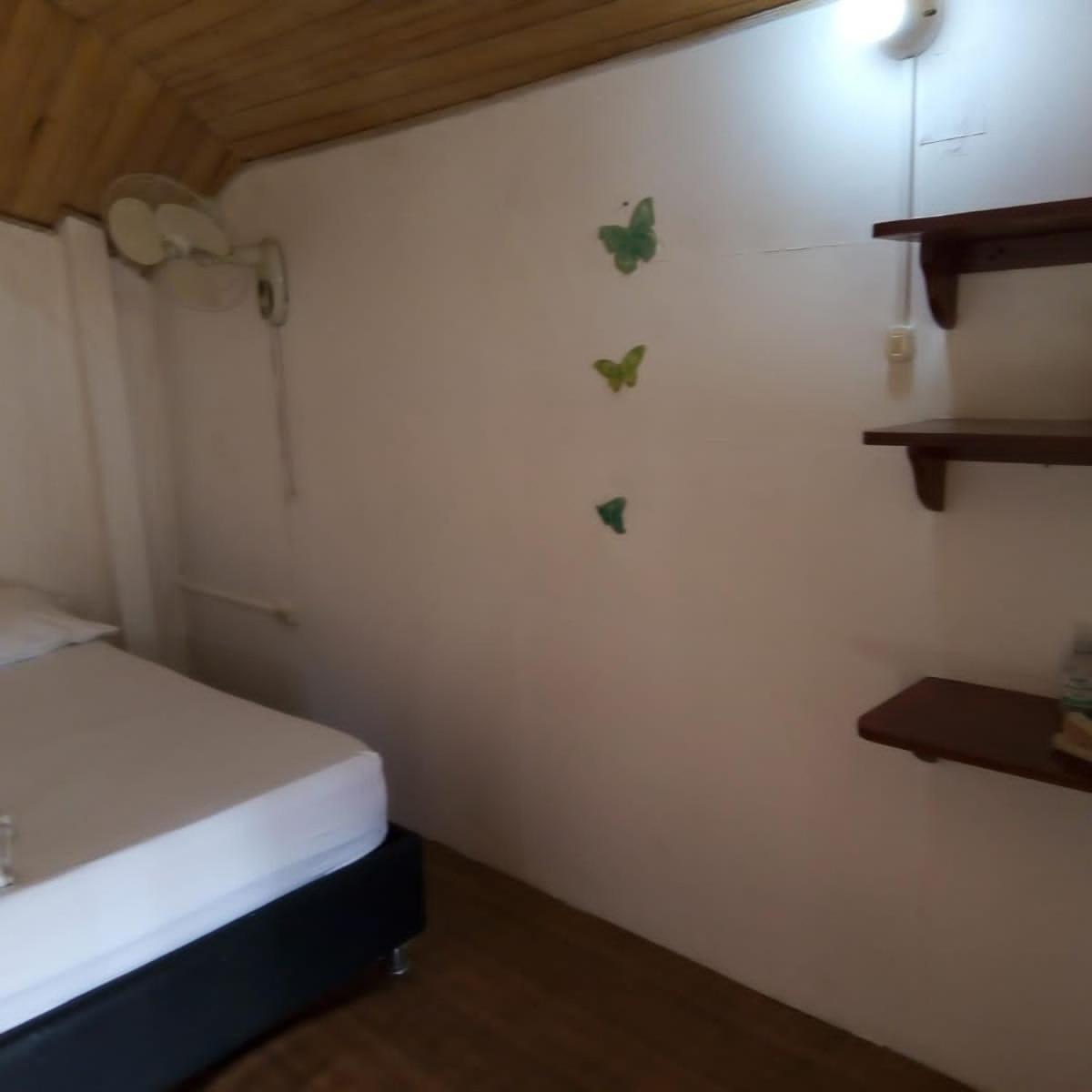 Hostal Paloma Cafe パロミノ エクステリア 写真